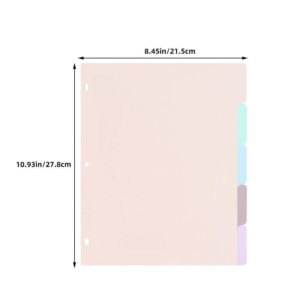 1Set Frosted PP Binder Divider – Tab Divider A4 Bewertung und Preis