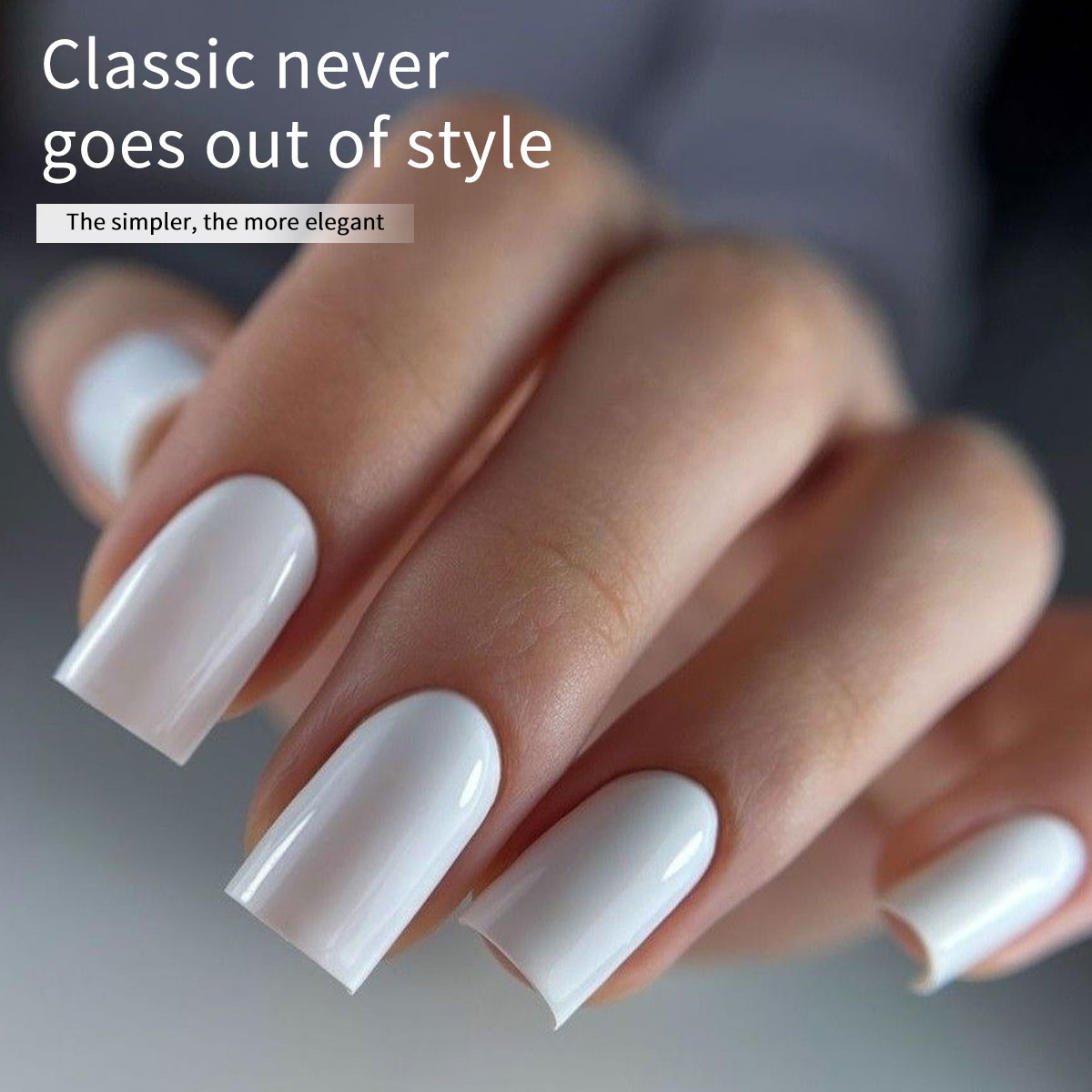 Hassleless 2-Pack Pure White + – Gel Refill Pack Bewertung und Preis