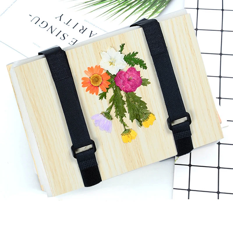 1 Set Plant Specimen Tool Kit  – Ink Blotter Paper Bewertung und Preis